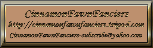 Cinnamon Fawn Fanciers